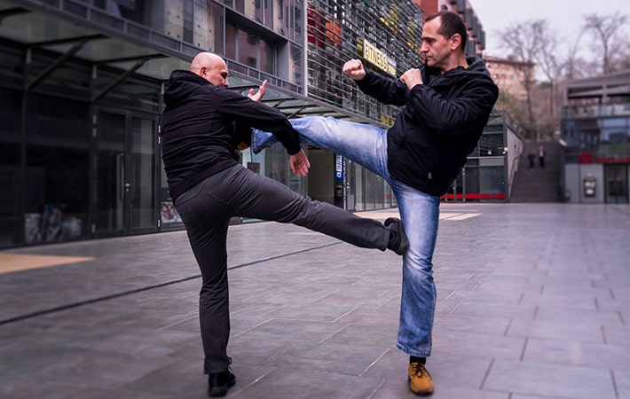 Sifu Mario Biljanic & sifu Darko Bek